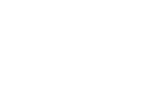 Snow Fox Data Logo White- For Web
