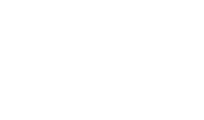 Snow Fox Data Logo White- For Web